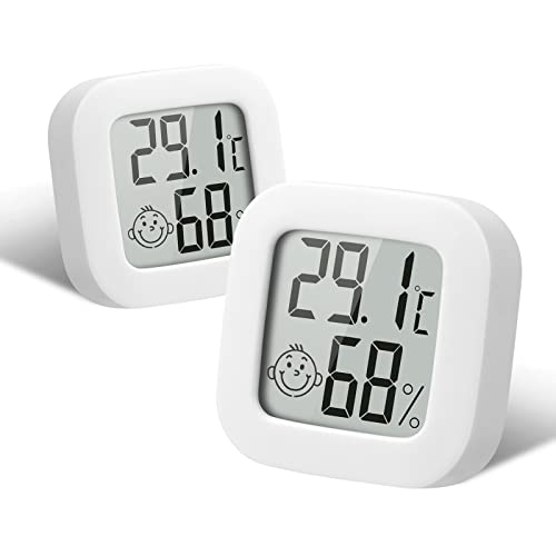 Flintronic Digitales Thermometer